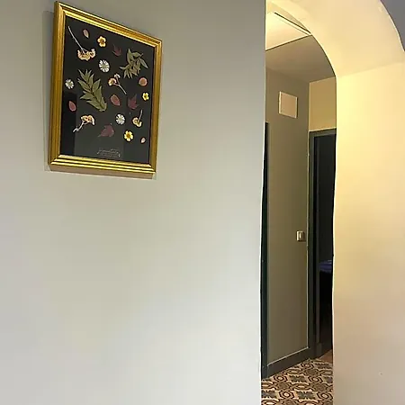 Casadella - Casa Calittu 3* Bastia (Corsica)